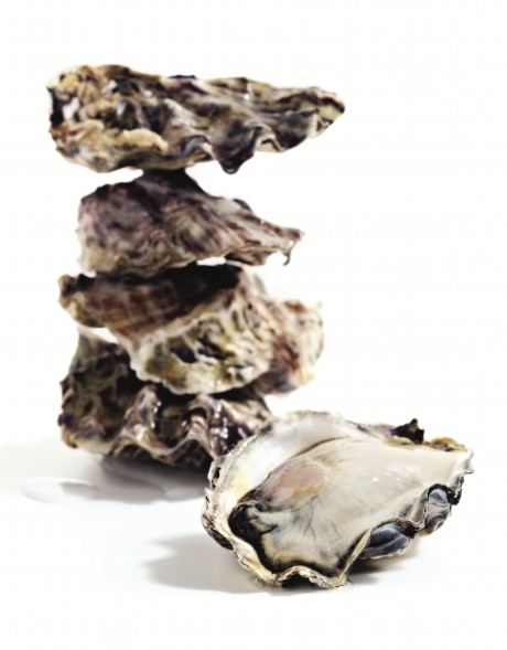 NZ Pacific Oysters