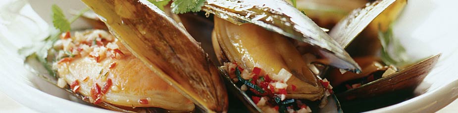 New Zealand Greenshell Mussel