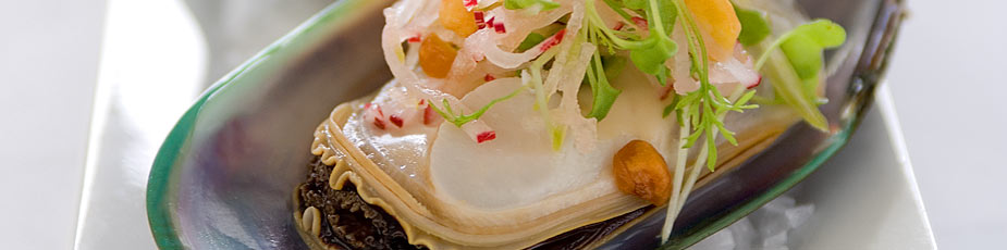 New Zealand Greenshell Mussel