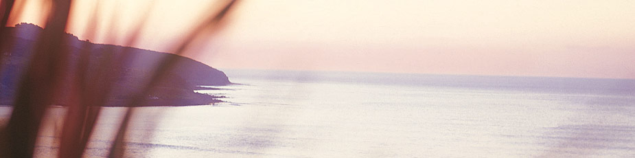 Aquaculture New Zealand