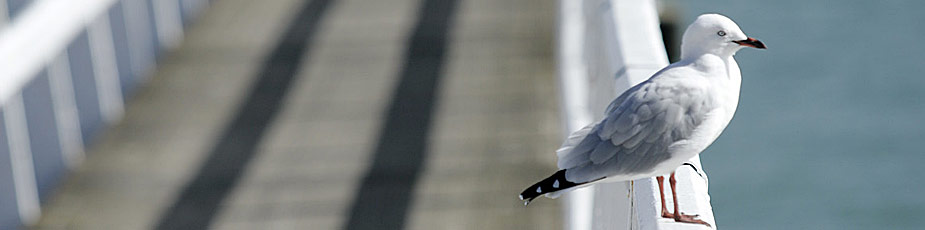 Aquaculture New Zealand