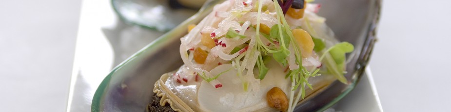 Aquaculture New Zealand