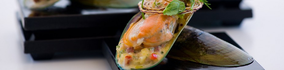 Aquaculture New Zealand