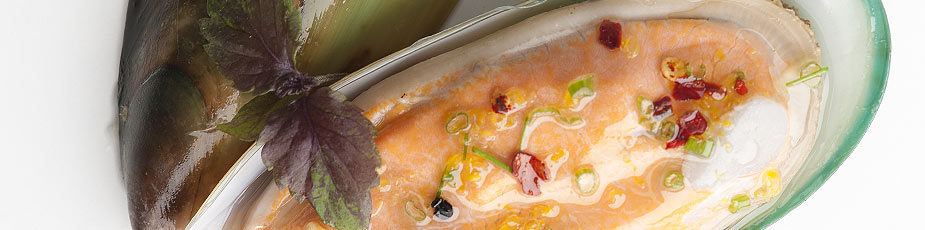 Aquaculture New Zealand