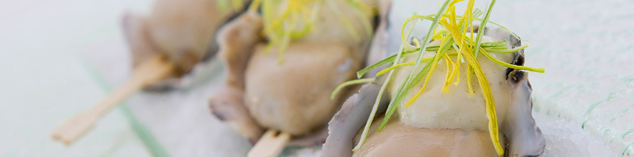 Premium New Zealand Seafood