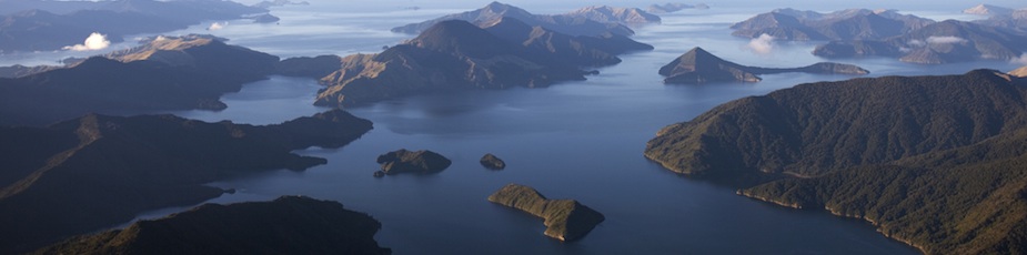 Premium New Zealand Seafood