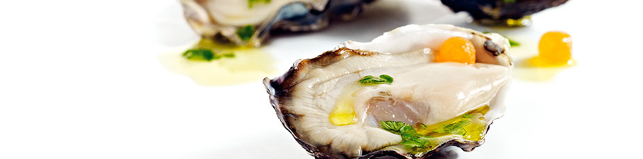 Aquaculture New Zealand