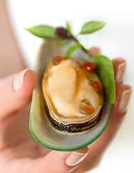 New Zealand Pacific Oysters