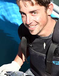 New Zealand Pacific Oysters