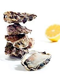 New Zealand Oysters